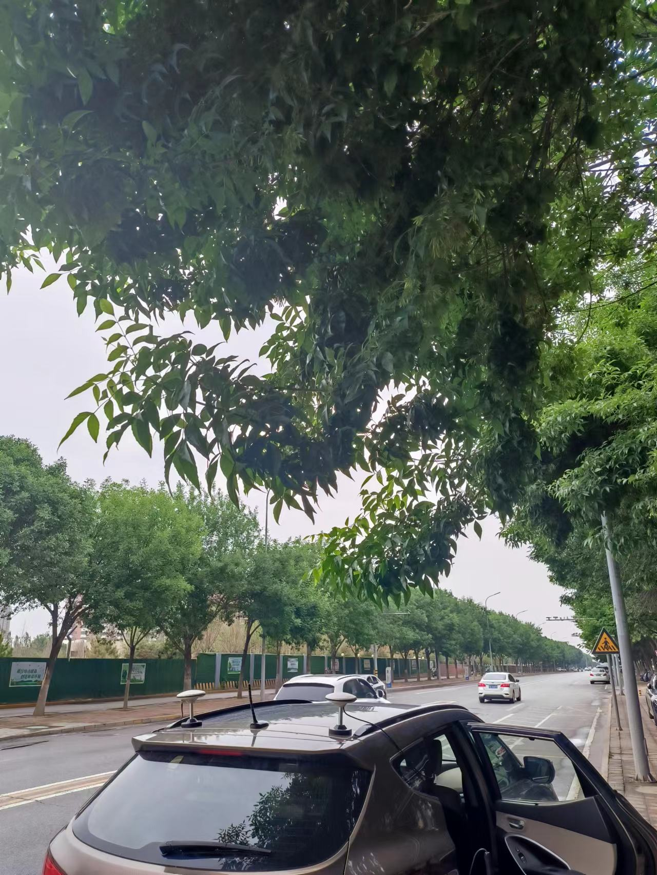 测试现场(原 PPT 第 3 页中图)
